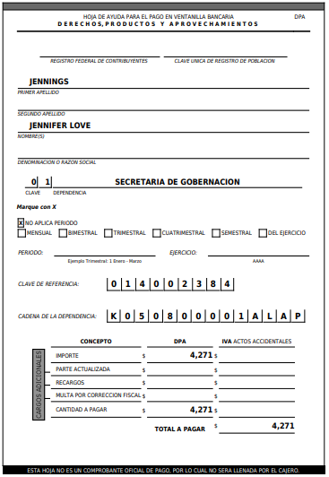 Pago derechos - example